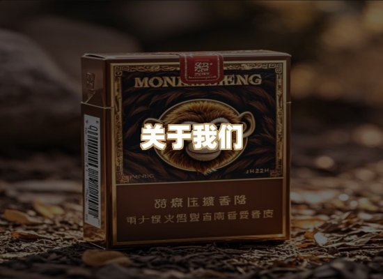 关于云歌烟网